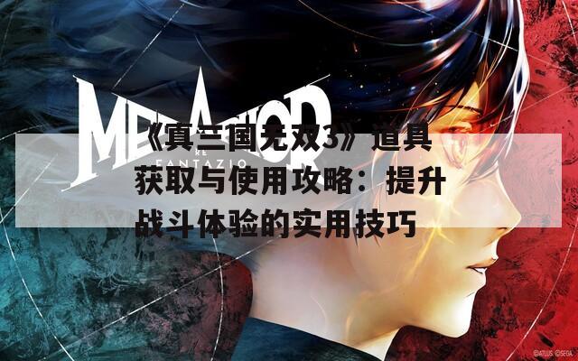 《真三国无双3》道具获取与使用攻略：提升战斗体验的实用技巧