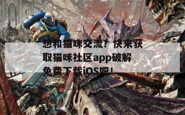 想和猫咪交流？快来获取猫咪社区app破解免费下载iOS吧！