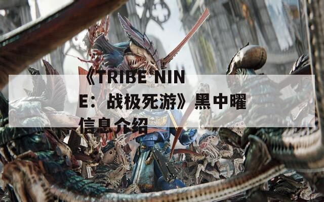 《TRIBE NINE：战极死游》黑中曜信息介绍