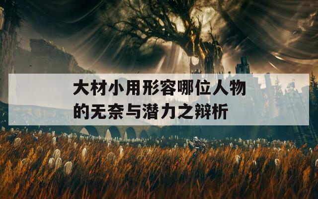 大材小用形容哪位人物的无奈与潜力之辩析