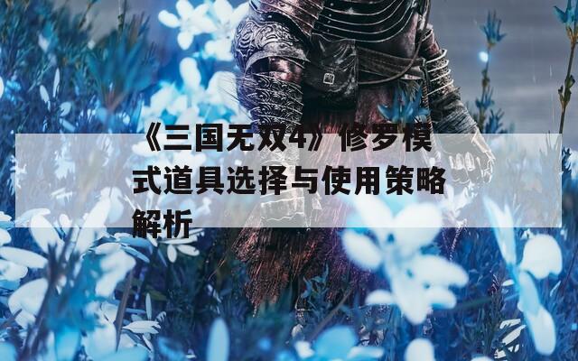 《三国无双4》修罗模式道具选择与使用策略解析