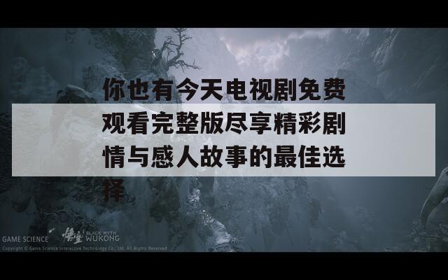 你也有今天电视剧免费观看完整版尽享精彩剧情与感人故事的最佳选择