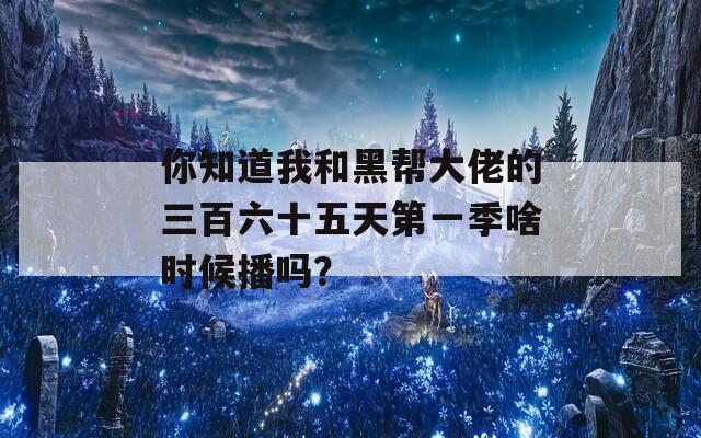 你知道我和黑帮大佬的三百六十五天第一季啥时候播吗？