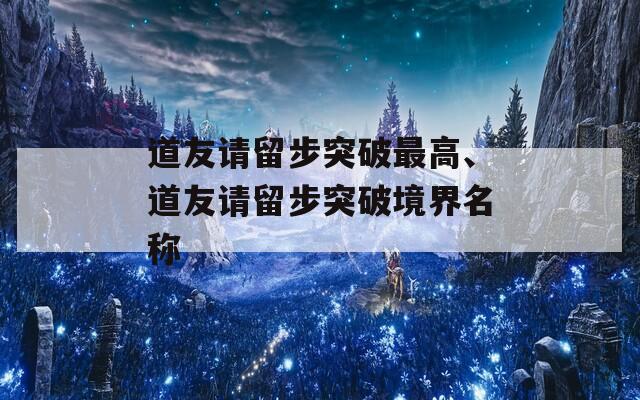 道友请留步突破最高、道友请留步突破境界名称